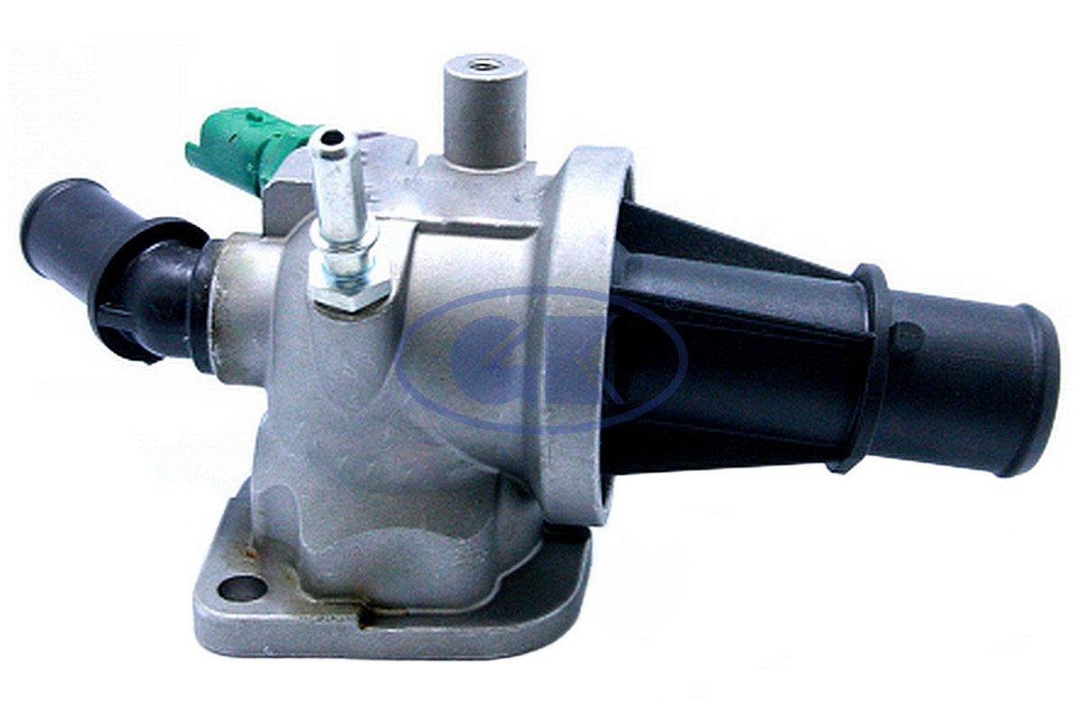 Thermostat, coolant (701213)