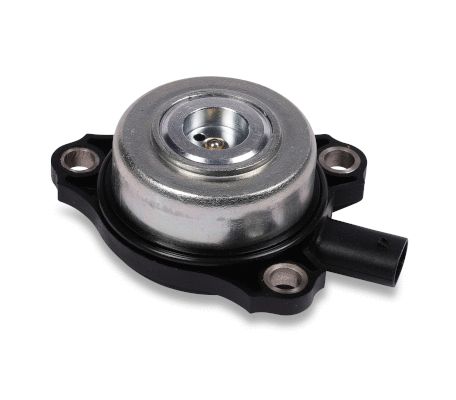 Central Magnet, camshaft adjustment (SK6103)