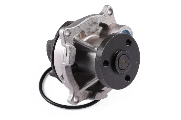 Water Pump, engine cooling (980731)