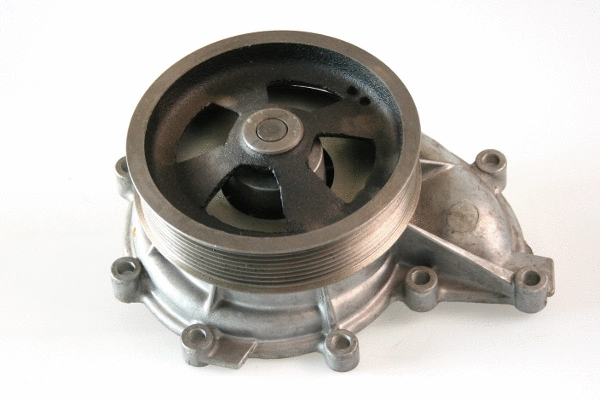 Water Pump, engine cooling (980976)