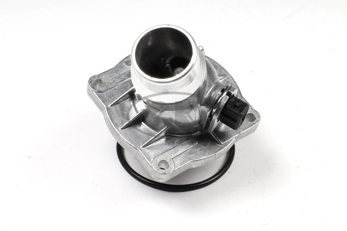 Thermostat, coolant (701069)