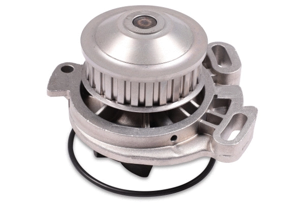 Water Pump, engine cooling (980145)