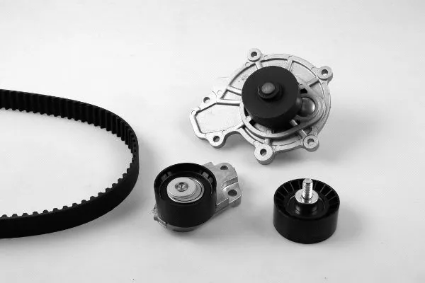 Water Pump & Timing Belt Kit (K980808B)