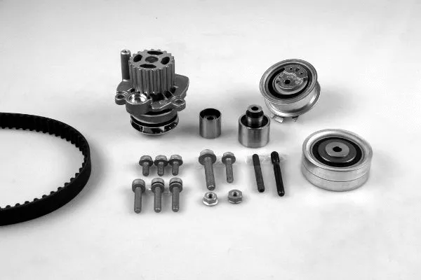 Water Pump & Timing Belt Kit (K980259F)