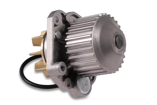 Water Pump, engine cooling (981075)
