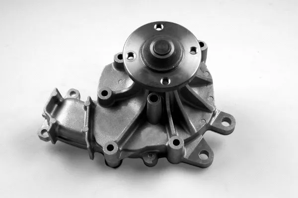 Water Pump, engine cooling (987711)