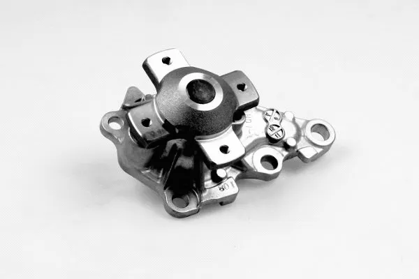Water Pump, engine cooling (987806)