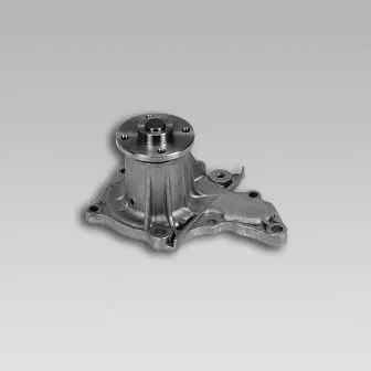 Water Pump, engine cooling (981725)