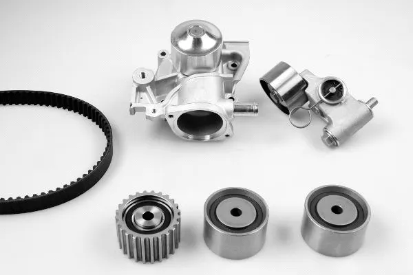 Water Pump & Timing Belt Kit (K981020C)