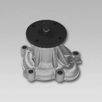 Water Pump, engine cooling (981740)