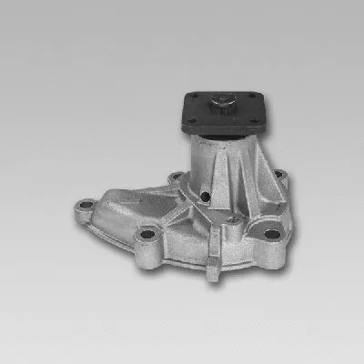 Water Pump, engine cooling (981742)