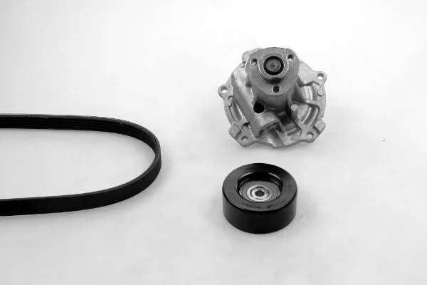 Water Pump + V-Ribbed Belt Kit (K980158C)