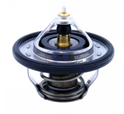Thermostat, coolant (701324)