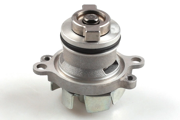 Water Pump, engine cooling (981207)