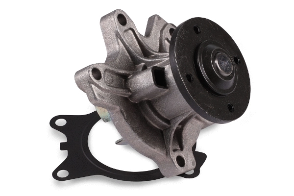 Water Pump, engine cooling (980810)