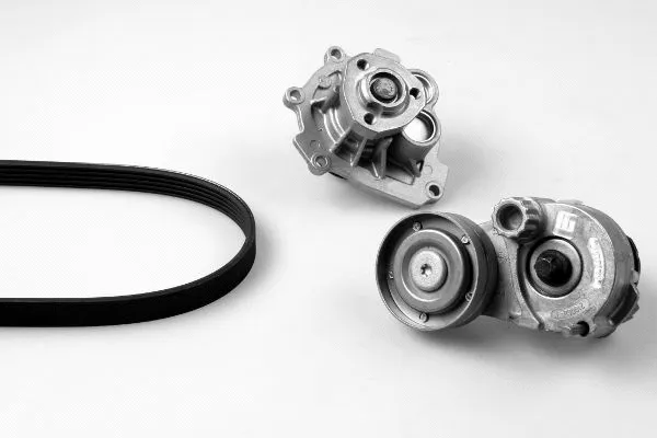 Water Pump + V-Ribbed Belt Kit (K980768B)