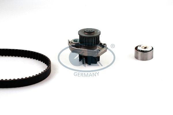 Water Pump & Timing Belt Kit (K981201C)