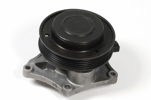 Water Pump, engine cooling (980207)