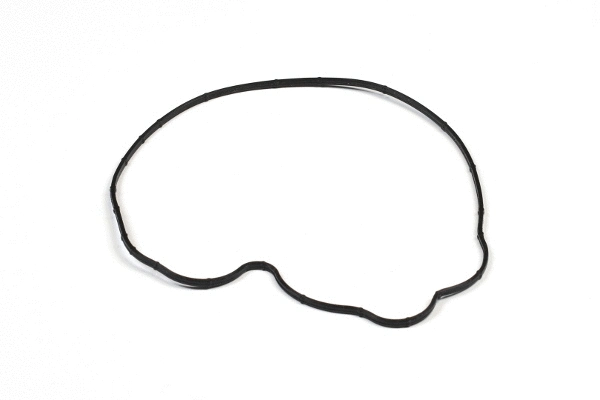 Water Pump, engine cooling (980845)