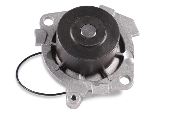 Water Pump, engine cooling (985245)