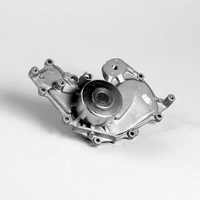 Water Pump, engine cooling (981789)