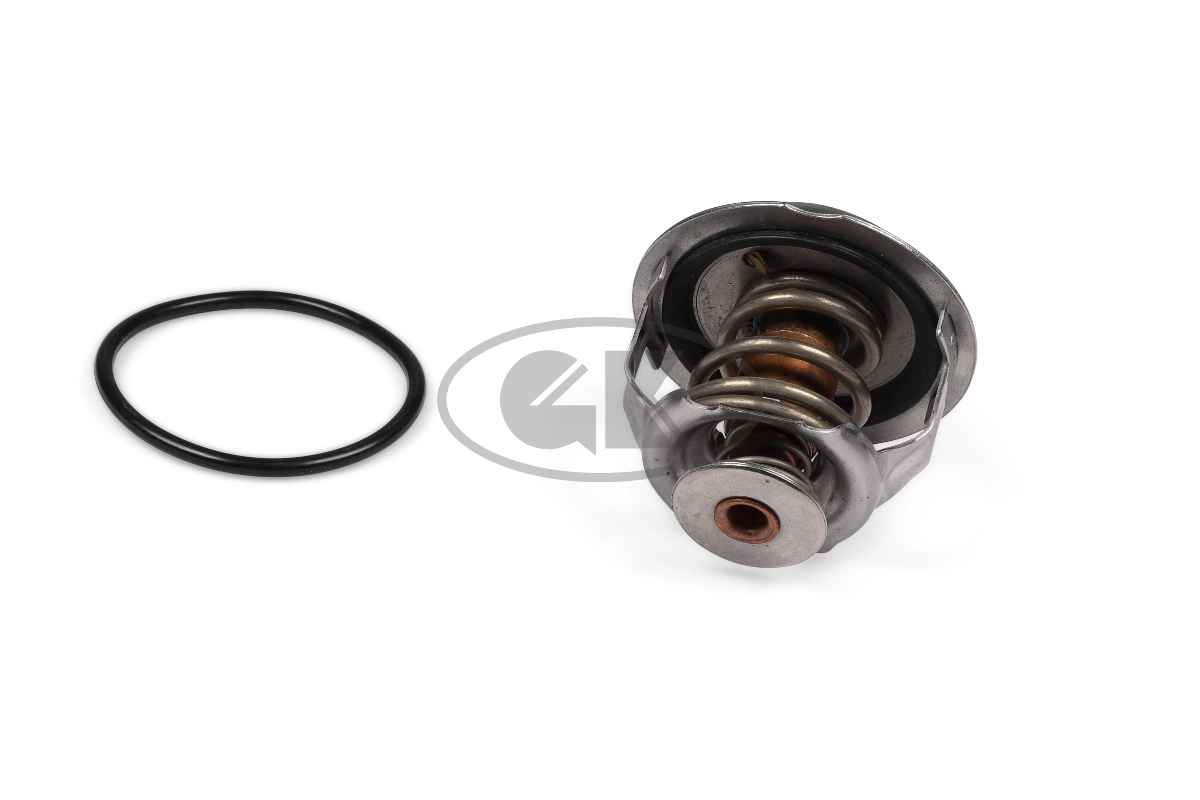 Thermostat, coolant (701004)