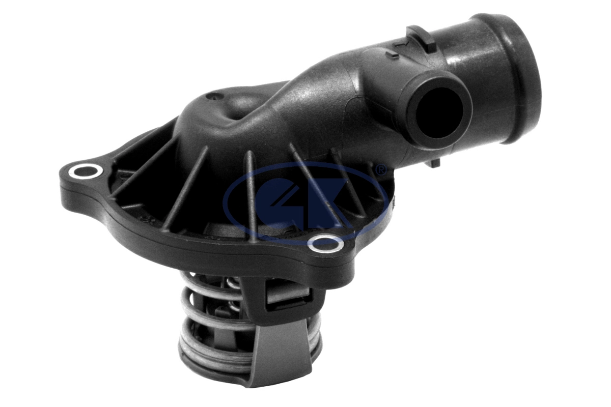 Thermostat, coolant (701143)