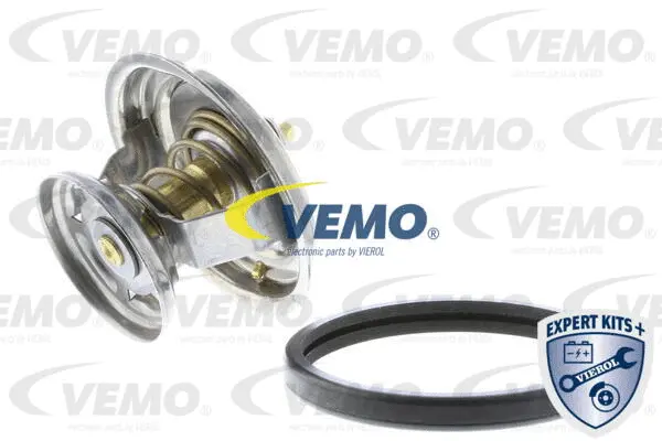 Thermostat, coolant