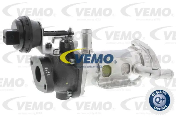 Cooler, exhaust gas recirculation