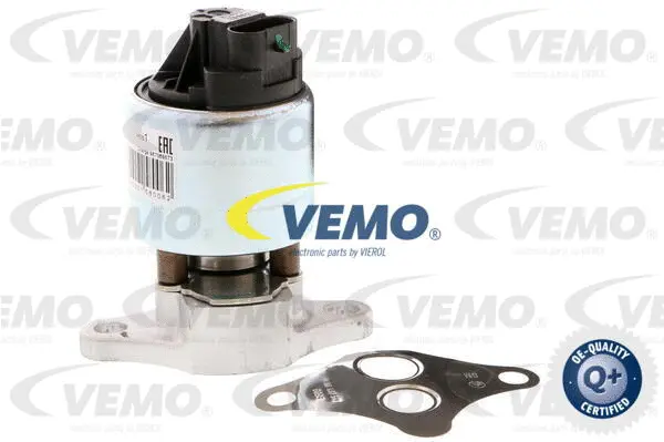 EGR Valve