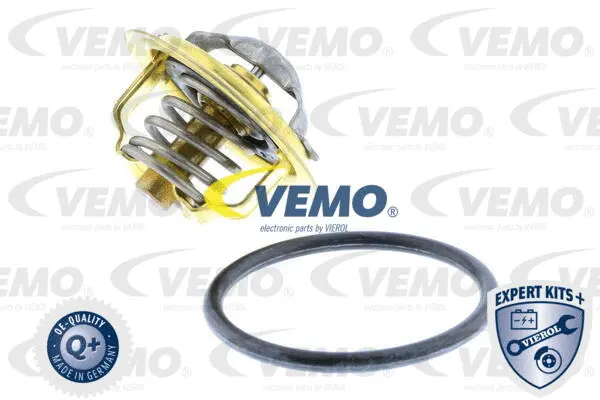 Thermostat, coolant