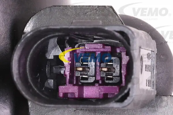 Air Suspension Strut