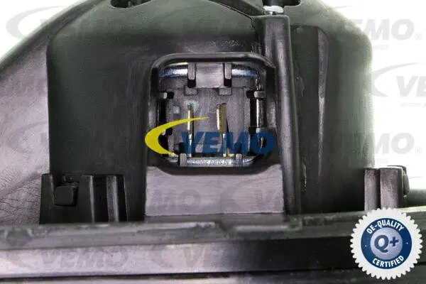 Interior Blower