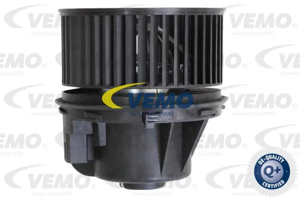 Interior Blower