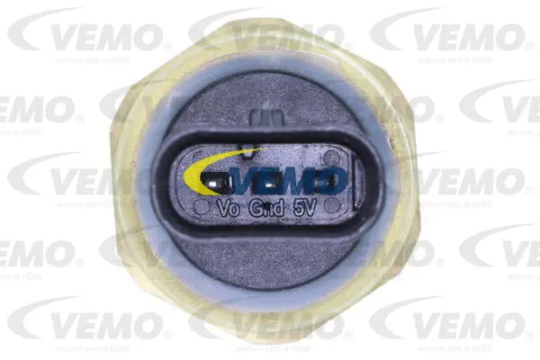 Oil Pressure Switch