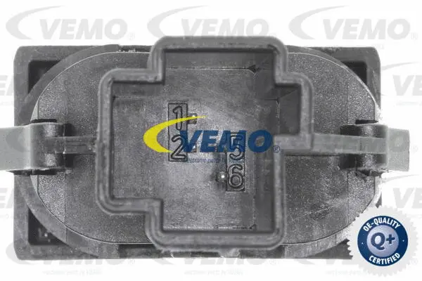 Switch, window regulator