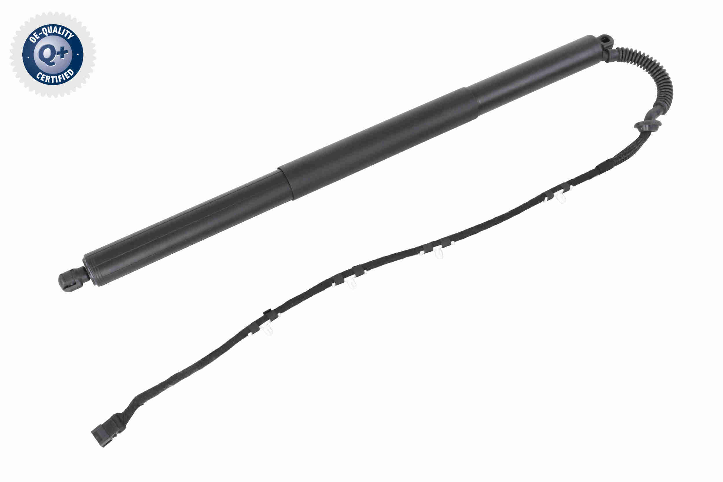 Electric Motor, tailgate