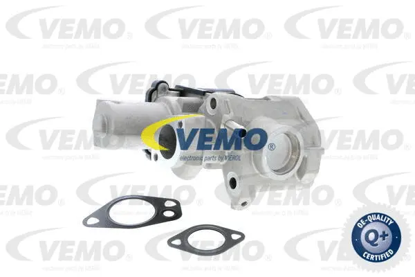 EGR Valve