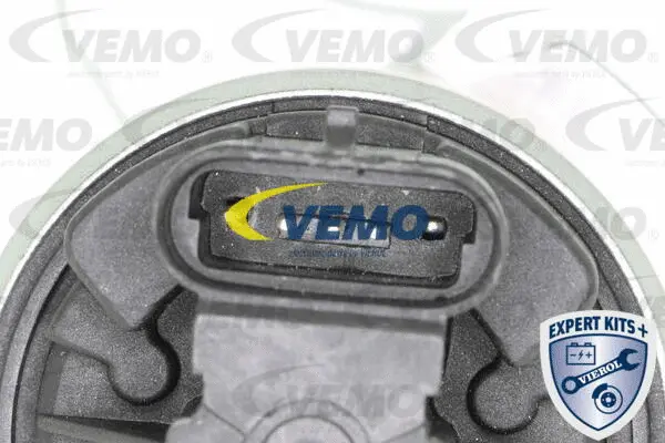 EGR Valve