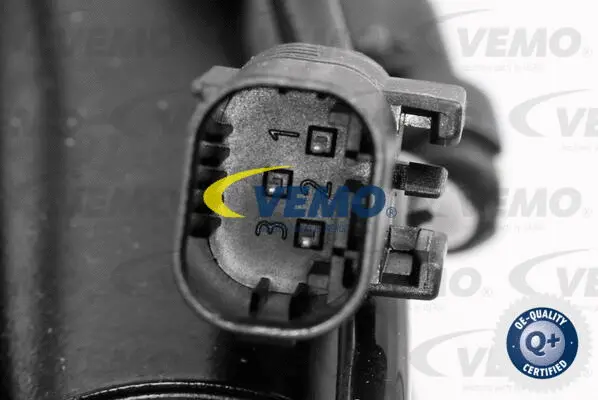 Air Suspension Strut