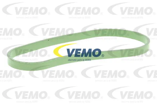 Gasket, throttle body