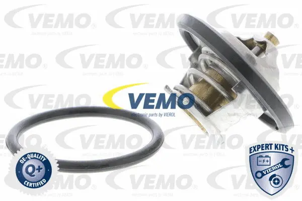 Thermostat, coolant