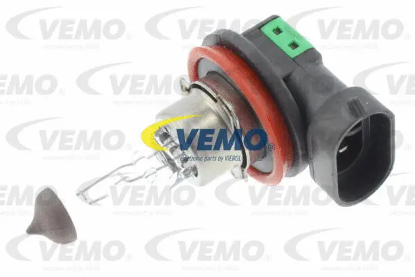 Bulb, front fog light