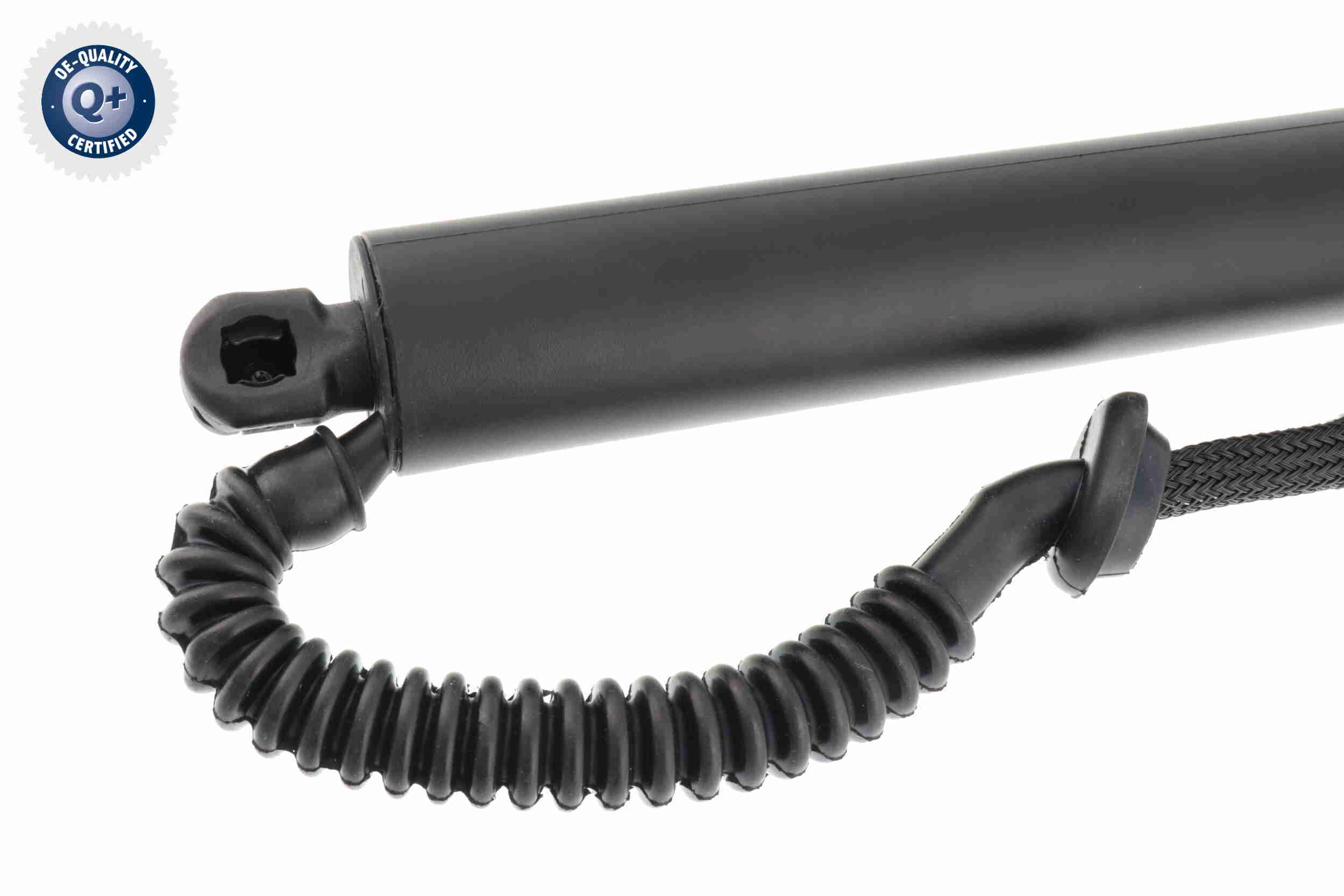 Electric Motor, tailgate