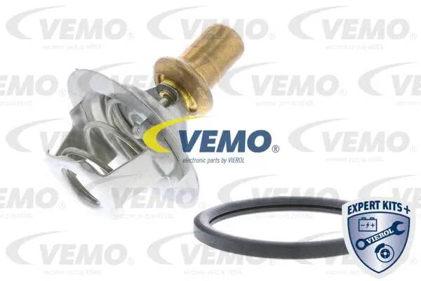 Thermostat, coolant