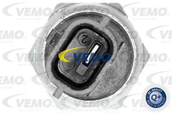 Oil Pressure Switch