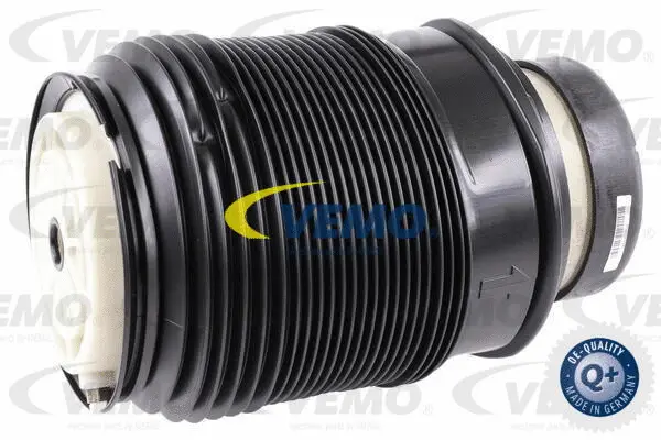 Air Suspension Strut