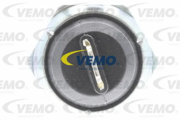 Oil Pressure Switch