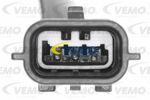 Water Sensor, fuel system