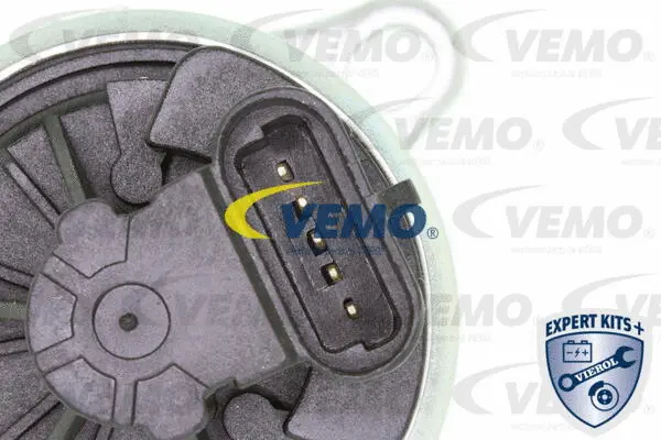 EGR Valve